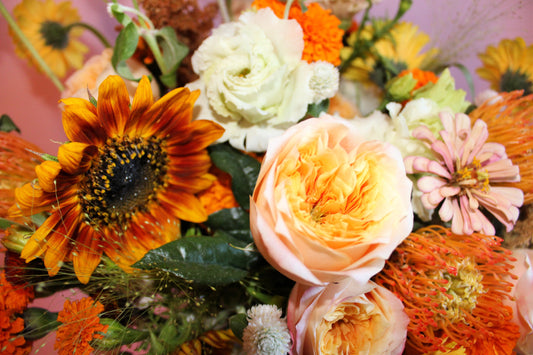 The DREAM Seasonal Designer's Choice