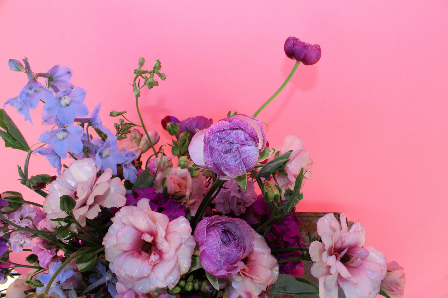 Large Seasonal Designer's Choice