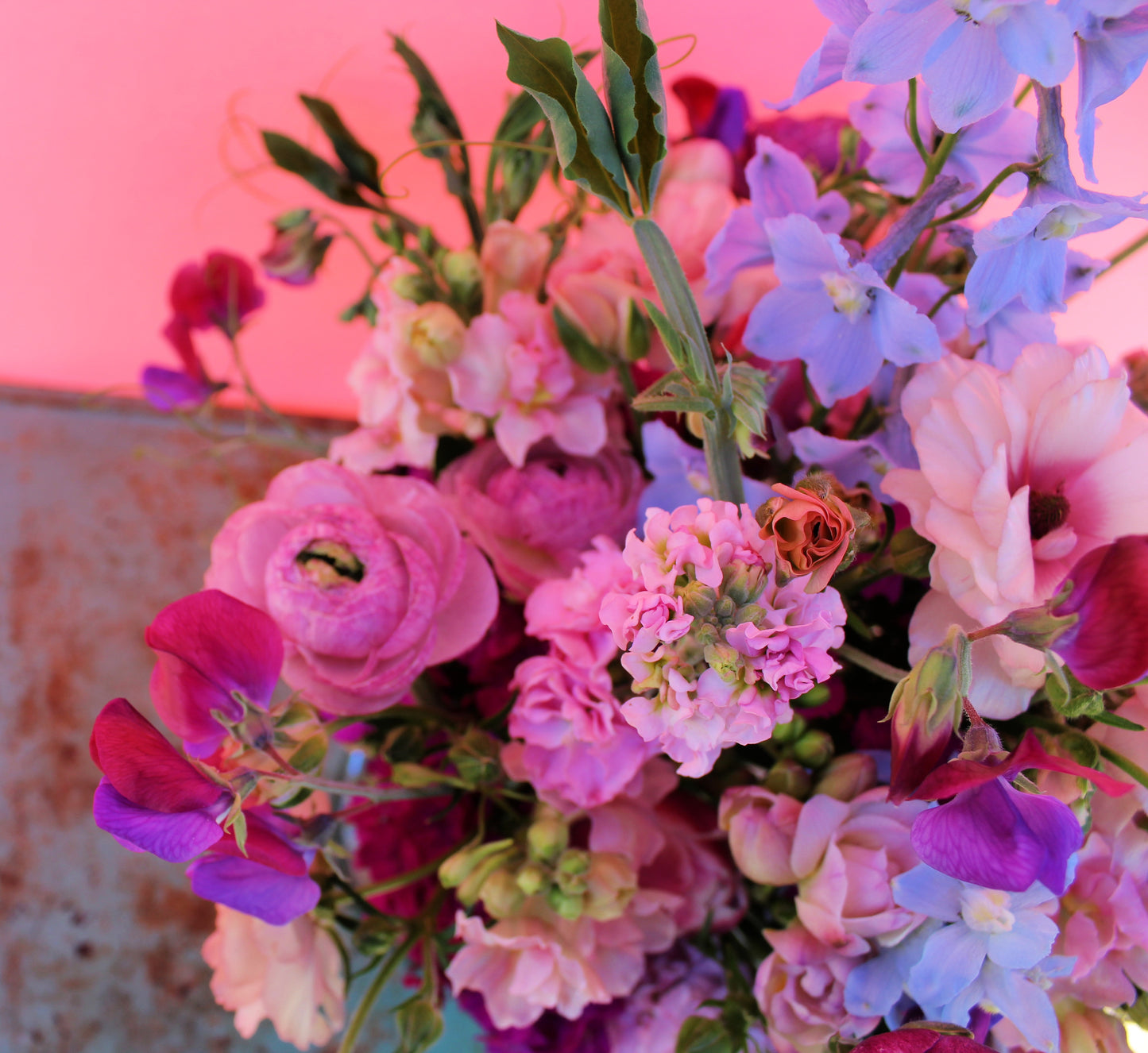 Large Seasonal Designer's Choice