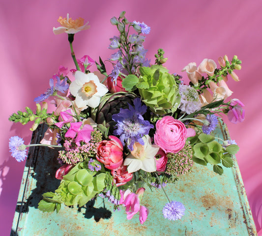 Medium Seasonal Designer's Choice