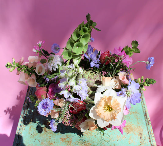 Medium Seasonal Designer's Choice